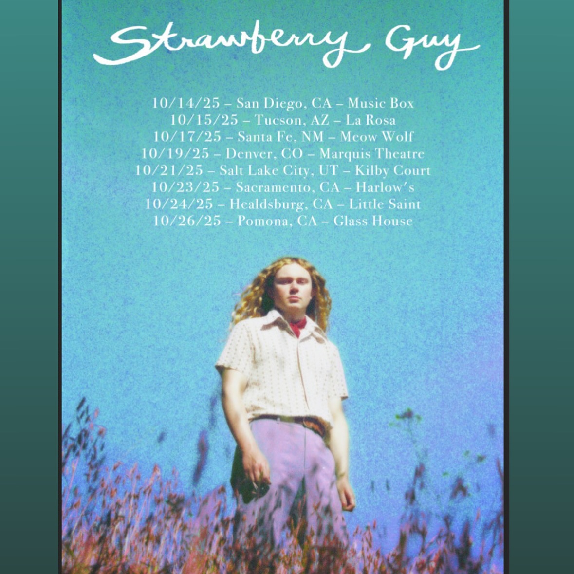 Strawberry Guy Tour Poster 2025
